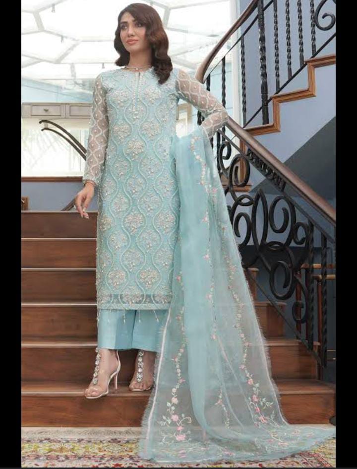 WEARZA PURE ORGANZA FULLY ADDA HEAVY HANDWORK SUIT 2024 - Wearza